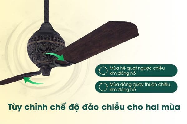 Chức năng 1886 LIMITED EDITION