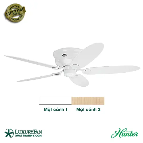 HUNTER LOWPROFILE 24377
