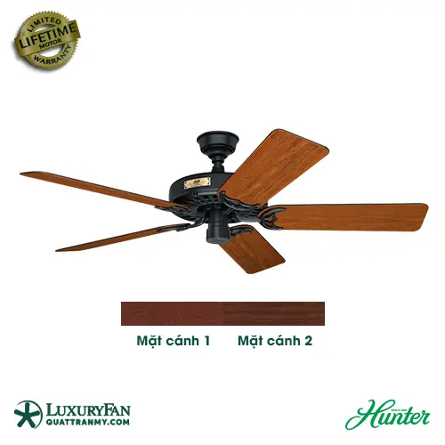 HUNTER ORIGINAL 50685