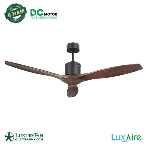 RITTER DC SOLID WOOD OB 1