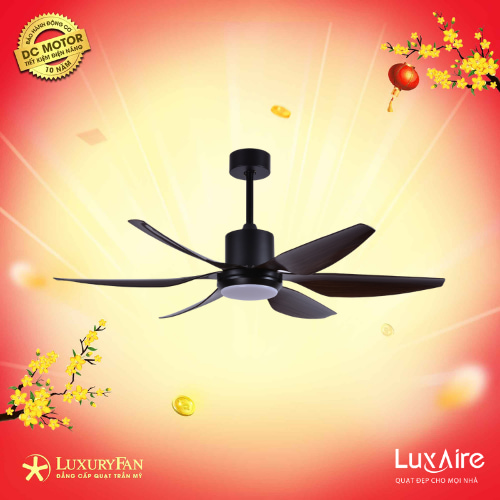 LUXAIRE-ECO SWEEP 54” SW546DCABSBL