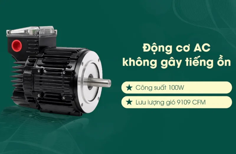 Động cơ AC của quạt trần 