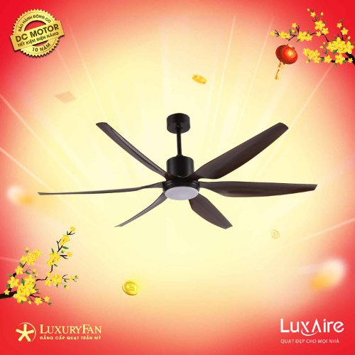 LUXAIRE-ECO SWEEP 66”