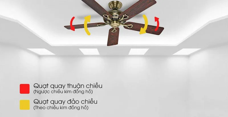 quạt trần đẹp thông minh quạt trần đẹp thông minh
