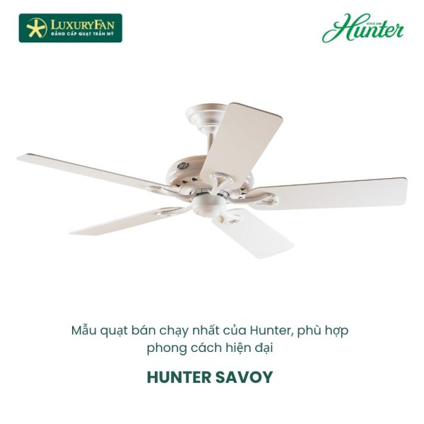 HUNTER SAVOY 24526