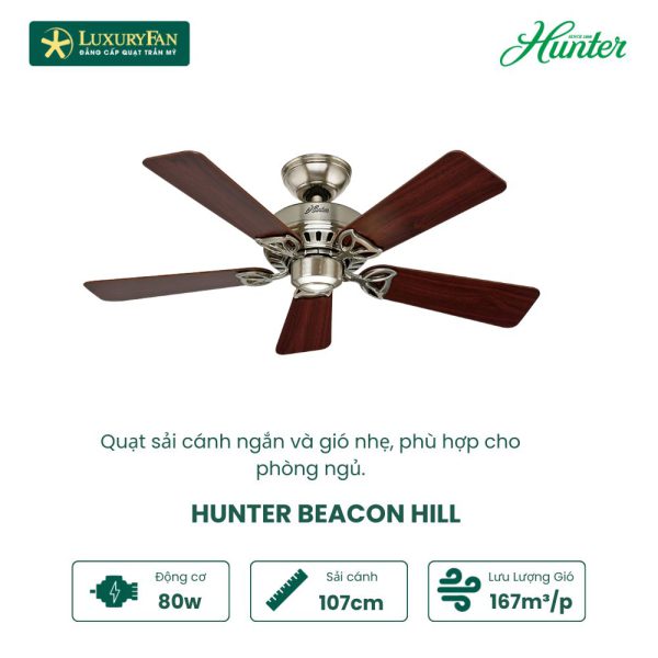 Hunter Becon hill