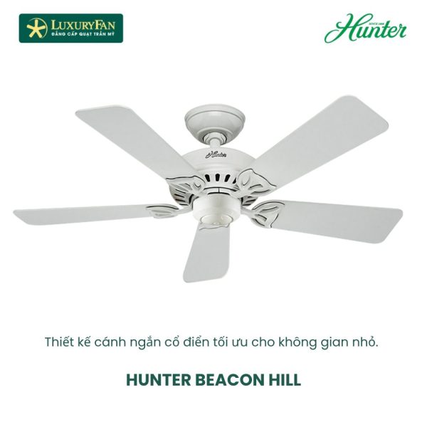HUNTER BEACON HILL 24905NL
