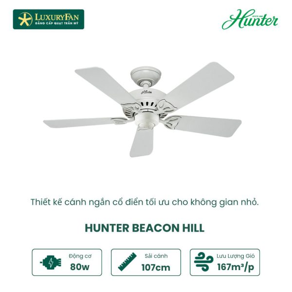 Hunter Becon hill