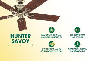Quạt trần Mỹ Hunter Savoy