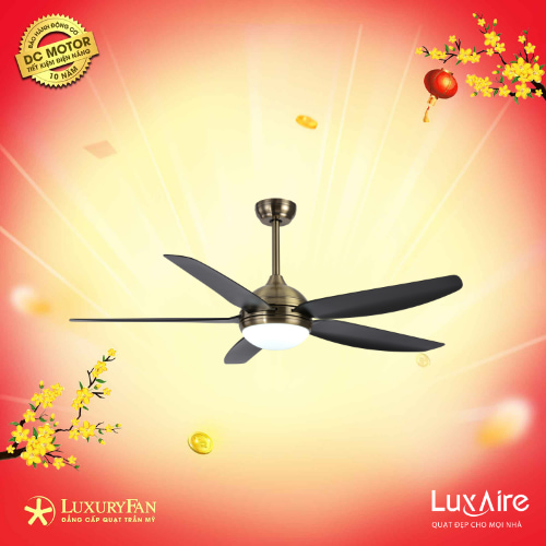 LUXAIRE-ECO STRONG II ST565AB/BL