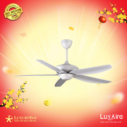 LUXAIRE-ECO WINDY WI565WH