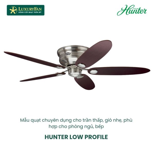 HUNTER LOW PROFILE 24372