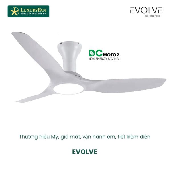 EVOLVE 2434