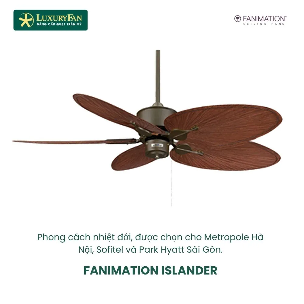 FANIMATION ISLANDER (2) FANIMATION ISLANDER (2)