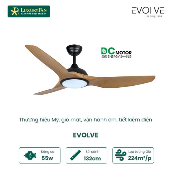 EVOLVE 2434