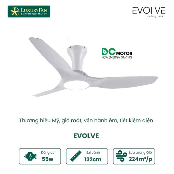 EVOLVE 2434