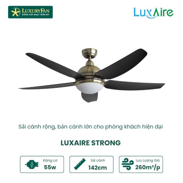 LuxAire Strong abs