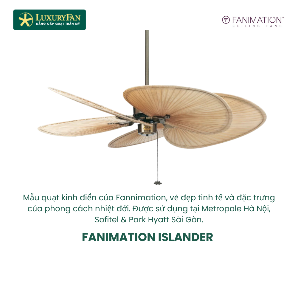FANIMATION ISLANDER FANIMATION ISLANDER