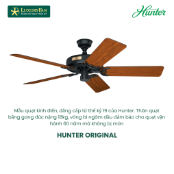 HUNTER ORIGINAL 50685