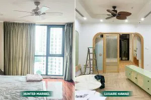 Các mẫu quạt trần được cư dân Royal City yêu thích