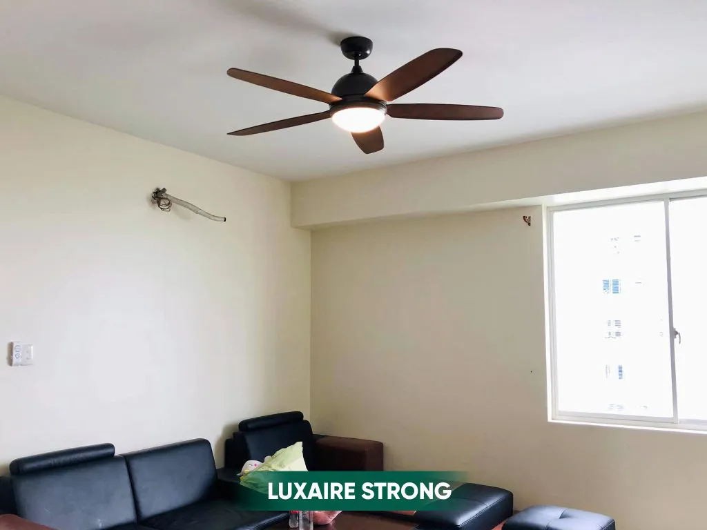 Quạt trần LuxuryFan tô điểm không gian ấn tượng