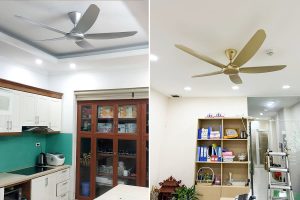 Mẫu quạt thiết kế tối giản, gió cực tốt, phù hợp cho nhà ở, trường học, nhà hàng,...