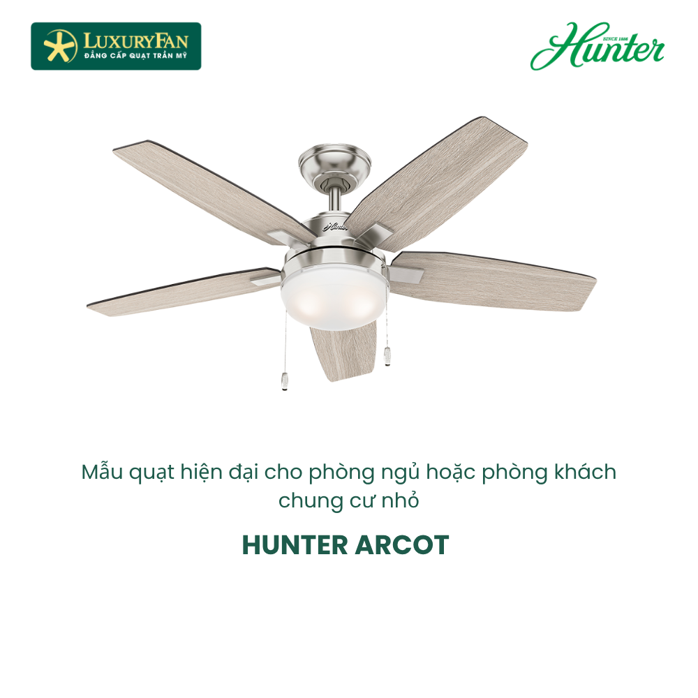 HUNTER ARCOT