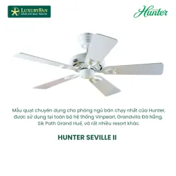 HUNTER SEVILLE II 24037