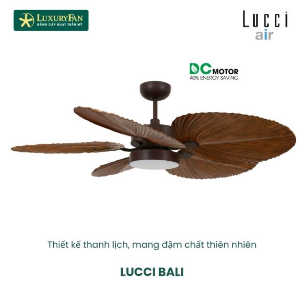 Lucci Bali