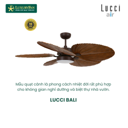 LUCCI BALI ORB
