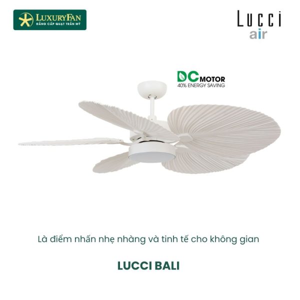Lucci Bali