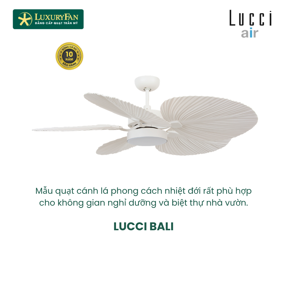 LUCCI BALI