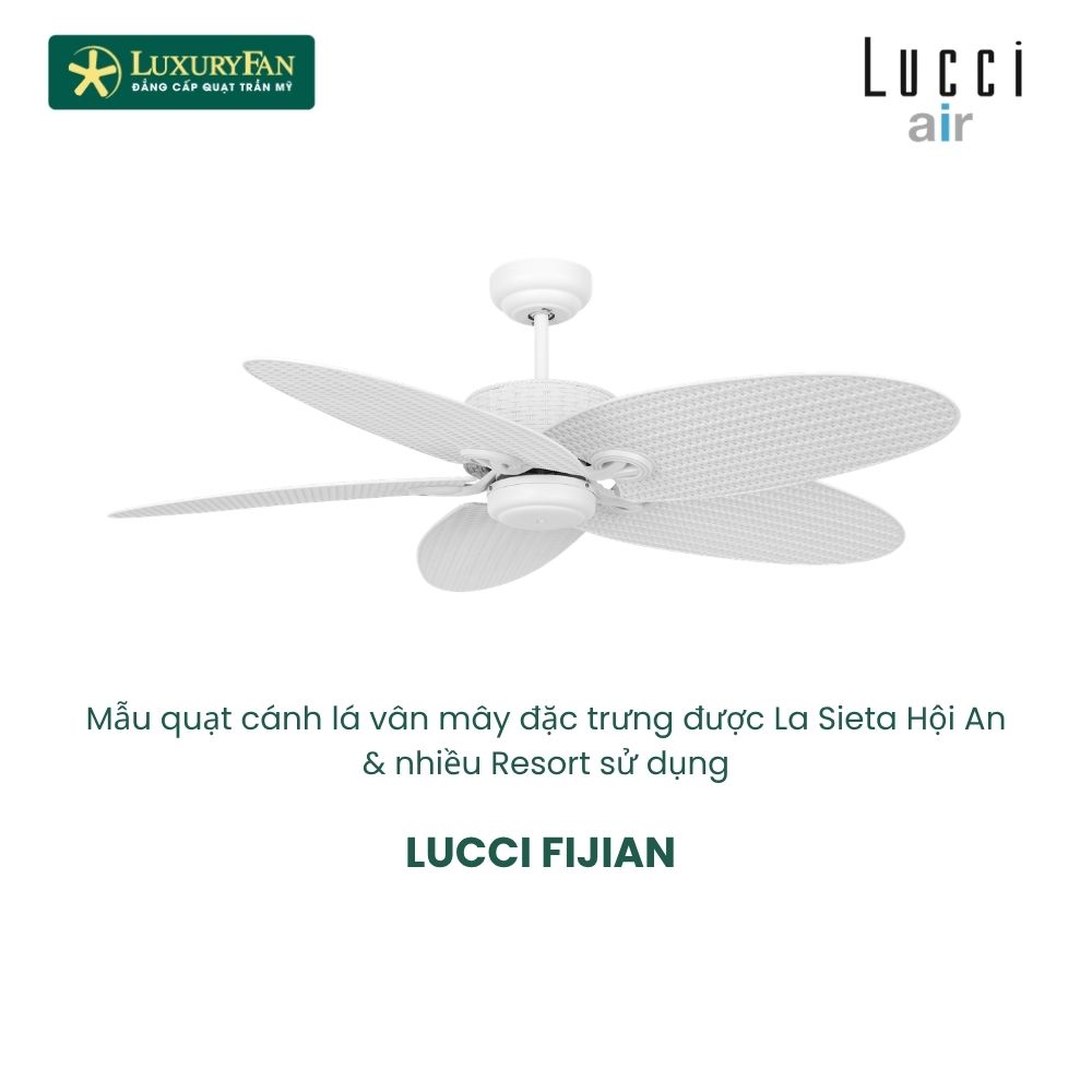 LUCCI FIJIANII (3)