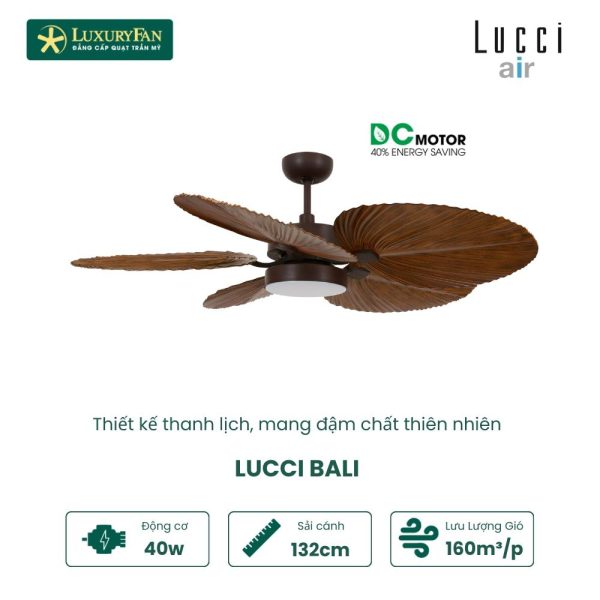 LUCCI BALI ORB