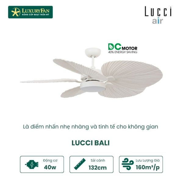 LUCCI BALI WH
