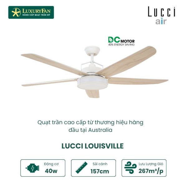 LUCCI LOUISVILLE WH