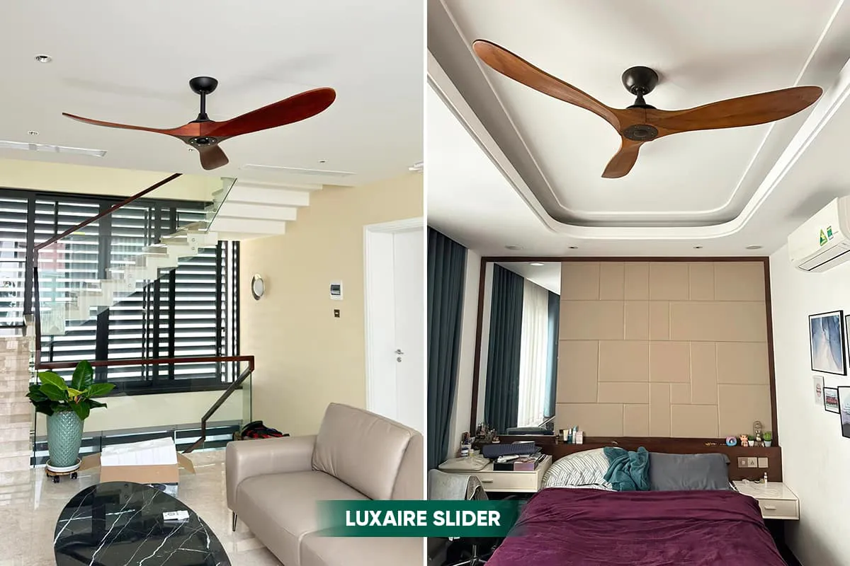 Cánh gỗ tự nhiên độc đáo