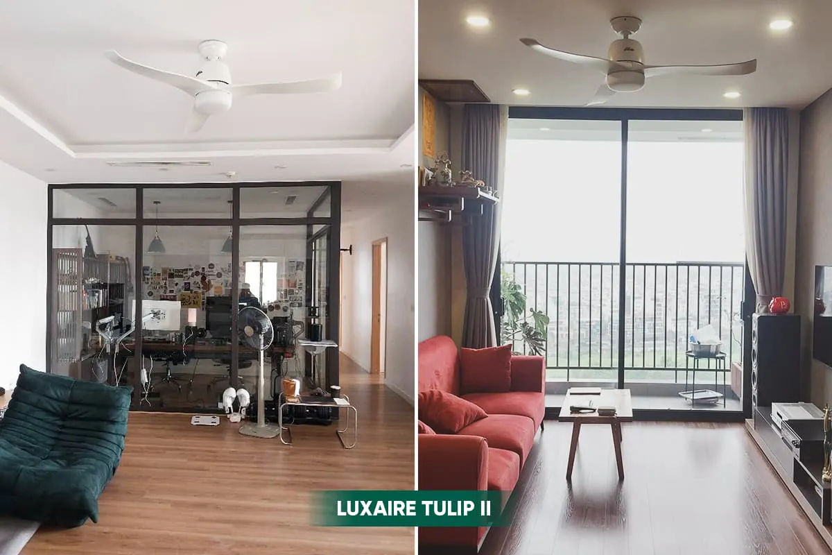 Mẫu quạt trần 3 cánh độc đáo
