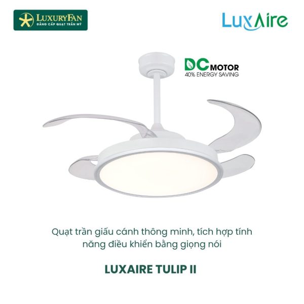luxaire Tulip ii