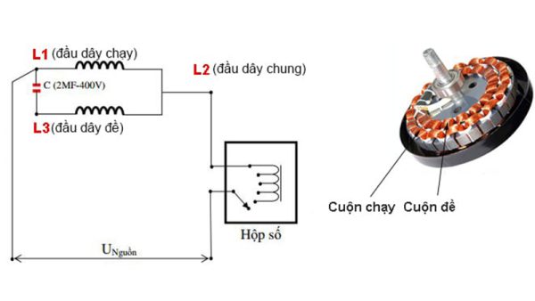 Cách đấu quạt trần chi tiết, an toàn, đơn giản tại nhà