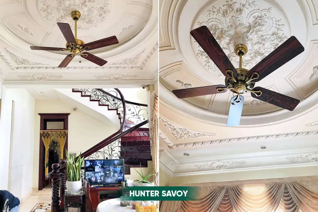 Hunter Savoy được yêu thích tại biệt thự, nhà phố Sala