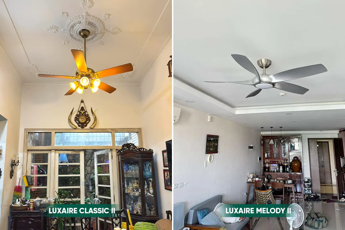 Đa dạng mẫu mã và phong cách, từ cổ điển đến hiện đại