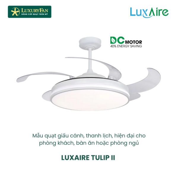 luxaire-Tulip-ii-3