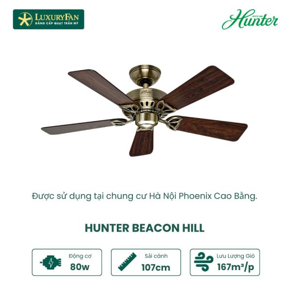 Hunter Beacon hill