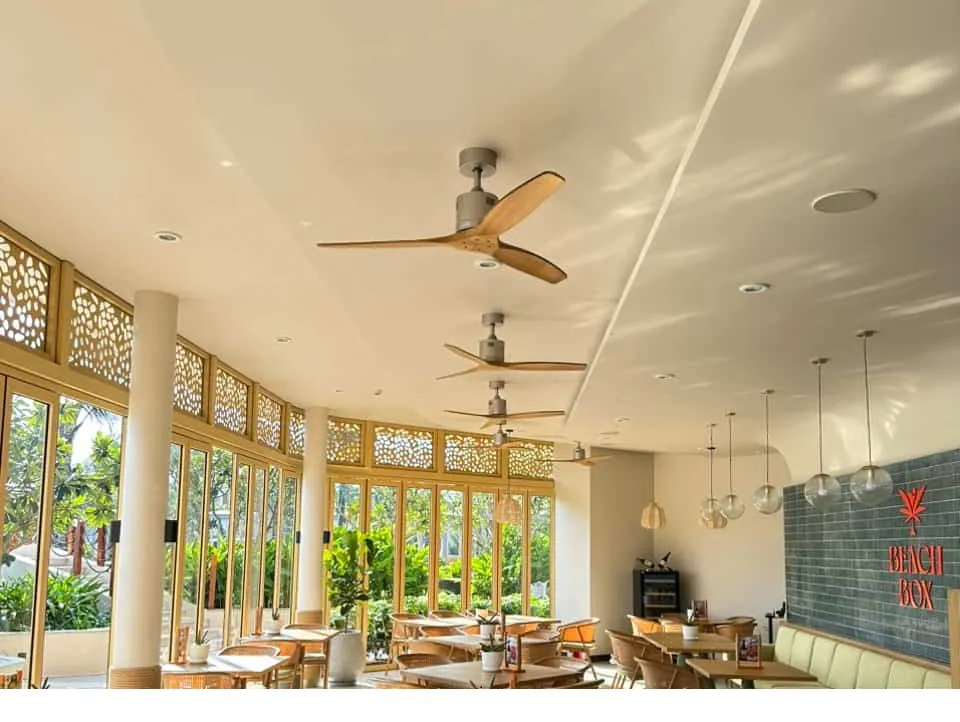 Mẫu 1: Ritter Solid Wood