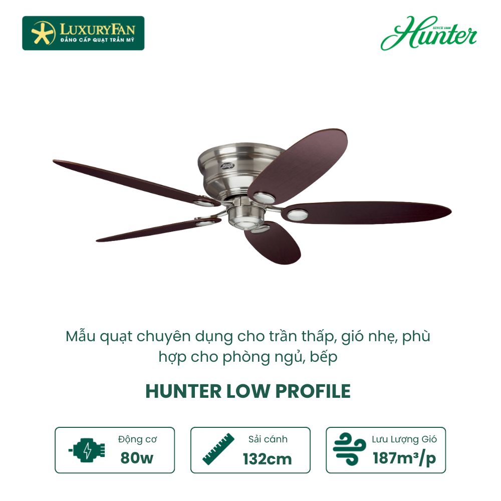 Quạt trần Mỹ Hunter Low Profile
