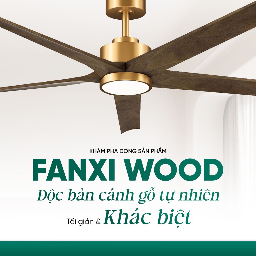 FANXI WOOD BL