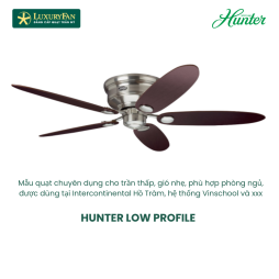 HUNTER LOW PROFILE 24372