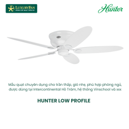 HUNTER LOW PROFILE 24377