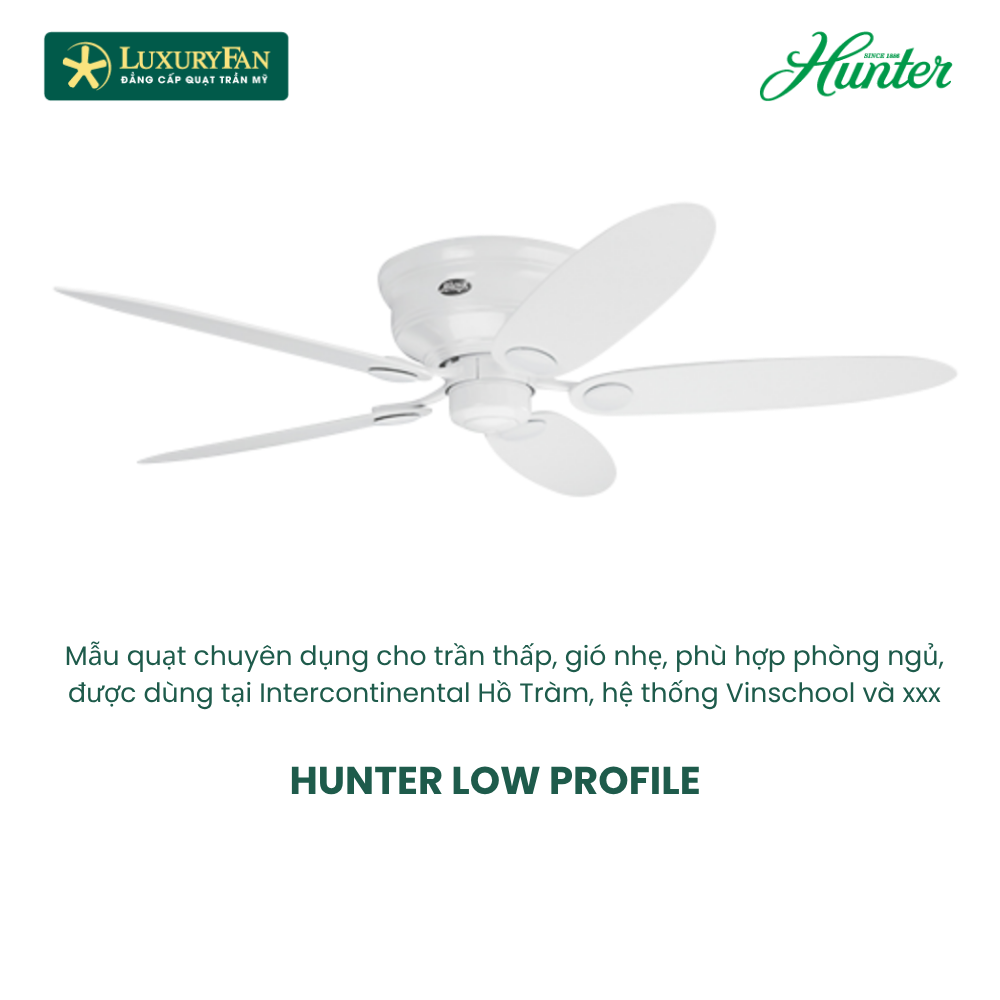 Hunter Low Profile (3) Hunter Low Profile (3)